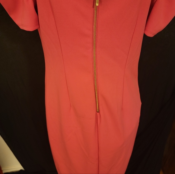 Bisou Bisou Sz 6 Pink Dress - Picture 3 of 8